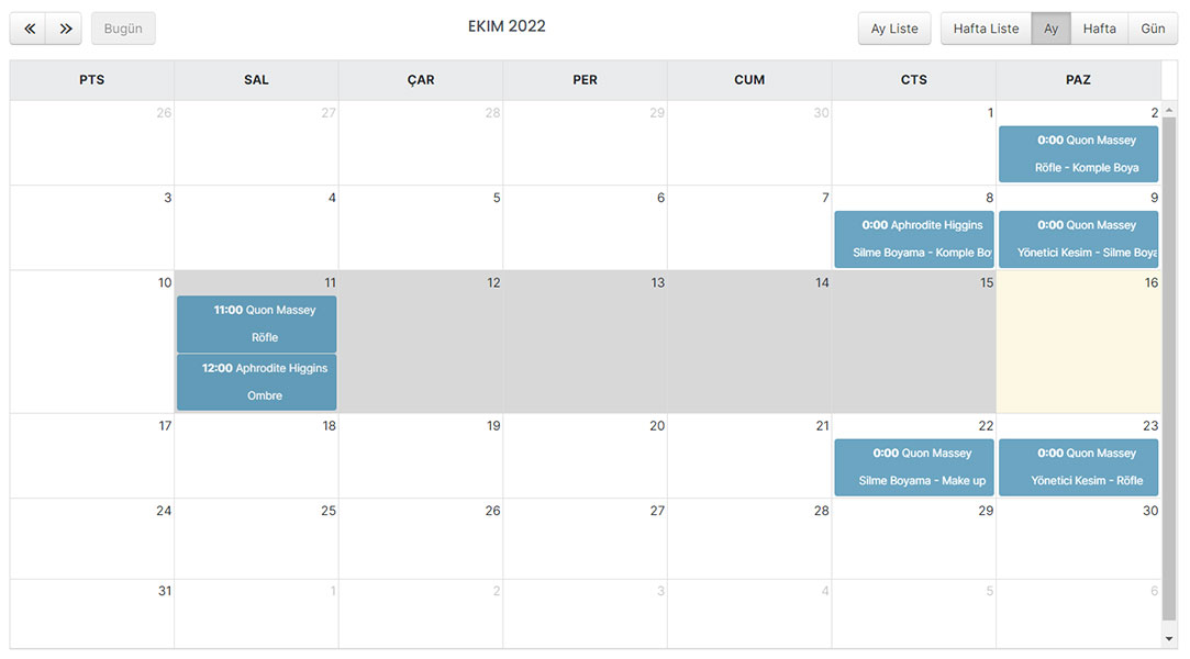 SalonNet Reservation Management-Month